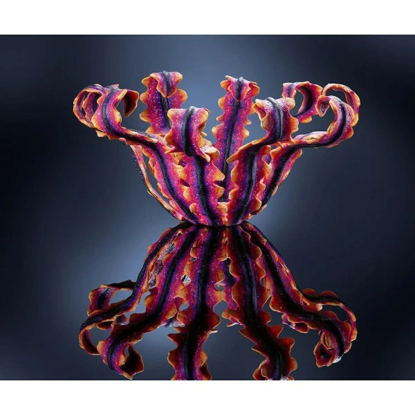 Acheter 😀 Czech Beads Exclusive FIMO Professional 85g De Bleu Marine, De L'Argile Tutoriel, Argile, Limon, Argile, De L'Artisanat, L 🔔 6 Acheter 😀 Czech Beads Exclusive FIMO Professional 85g De Bleu Marine, De L'Argile Tutoriel, Argile, Limon, Argile, De L'Artisanat, L 🔔 – Image 4