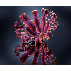 Acheter 😀 Czech Beads Exclusive FIMO Professional 85g De Bleu Marine, De L'Argile Tutoriel, Argile, Limon, Argile, De L'Artisanat, L 🔔 11 Acheter 😀 Czech Beads Exclusive FIMO Professional 85g De Bleu Marine, De L'Argile Tutoriel, Argile, Limon, Argile, De L'Artisanat, L 🔔 -Pâtes polymères Soldes unnamed file 1069