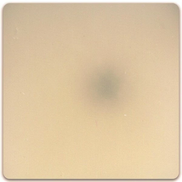 Acheter đ Pâte Sculpey Premo Translucide - 57g 𧨠5 Acheter đ Pâte Sculpey Premo Translucide - 57g 𧨠â Image 3