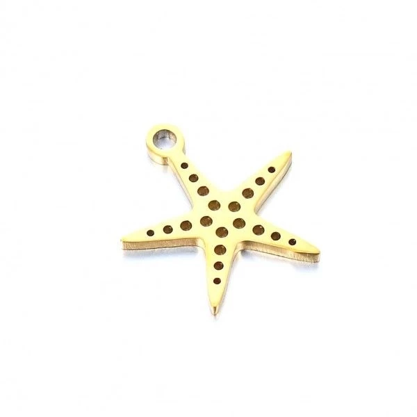 De gros ❤️ Perlesmania Pate Cernit BU11220427085758 PAX 2 Pendentifs, Breloques - Étoile De Mer- 13 Mm - Doré En Acier Inoxydable 304 - 🥰 3 De gros ❤️ Perlesmania Pate Cernit BU11220427085758 PAX 2 Pendentifs, Breloques - Étoile De Mer- 13 Mm - Doré En Acier Inoxydable 304 - 🥰