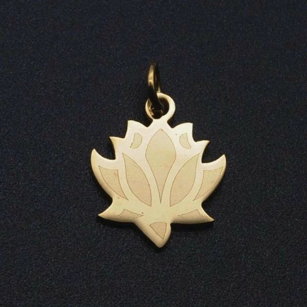 Vente flash đ Perlesmania Pate Cernit BU11220420165132 PAX 2 Breloques -Yoga Fleur De Lotus - 17 Mm - DorĂ© En Acier Inoxydable 201 - Placa đ 3 Vente flash đ Perlesmania Pate Cernit BU11220420165132 PAX 2 Breloques -Yoga Fleur De Lotus - 17 Mm - DorĂ© En Acier Inoxydable 201 - Placa đ