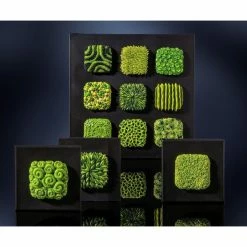 Vente flash ⭐ Czech Beads Exclusive FIMO Professional 85g De L'Herbe Verte, L'Argile Tutoriel, Argile, Limon, Argile, De L'Artisanat, Le 👏 -Pâtes polymères Soldes unnamed file 815