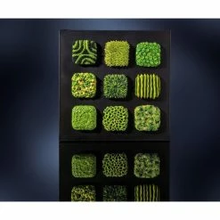 Meilleure vente 😍 Czech Beads Exclusive FIMO Professional 85g Orange, Boîte-Cadeau, De L'Argile Tutoriel, Argile, Limon, Argile, De L'Artisa 😍 -Pâtes polymères Soldes unnamed file 896