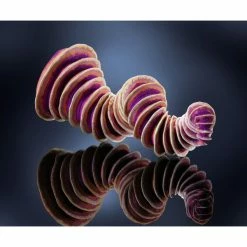 Meilleure vente 😍 Czech Beads Exclusive FIMO Professional 85g Orange, Boîte-Cadeau, De L'Argile Tutoriel, Argile, Limon, Argile, De L'Artisa 😍 -Pâtes polymères Soldes unnamed file 898