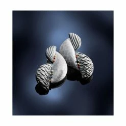 Bon marché 🔥 Czech Beads Exclusive FIMO Professional 85g Bleu (de Base), De L'Argile Tutoriel, Argile, Limon, Argile, De L'Artisanat, L ⌛ 11 Bon marché 🔥 Czech Beads Exclusive FIMO Professional 85g Bleu (de Base), De L'Argile Tutoriel, Argile, Limon, Argile, De L'Artisanat, L ⌛ -Pâtes polymères Soldes unnamed file 945